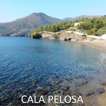 2071 - Mediterraneo A 2-6, Zona Tranquila, Sobre Las Rocas, ¡los Pies En El Agua! Relajante Lugar En El Que Podra Descansar Bronceandose. - Es-258-100 Apartment Roses
